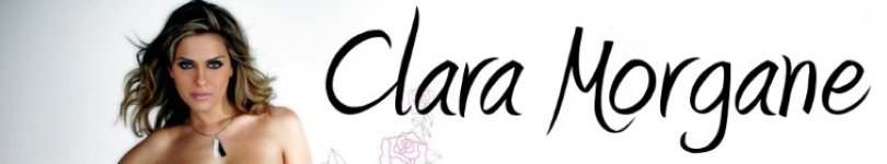 artist banner