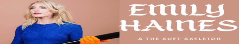 artist banner