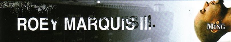 artist banner