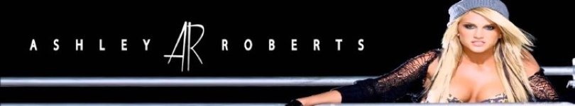 artist banner