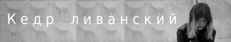 artist banner