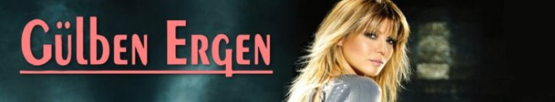 artist banner