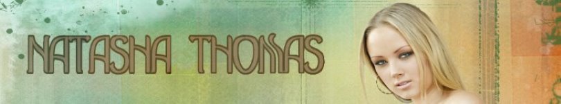 artist banner