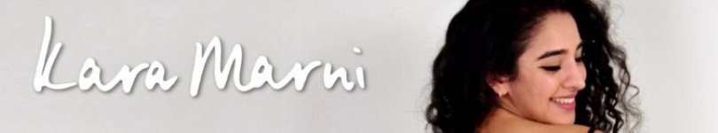 artist banner