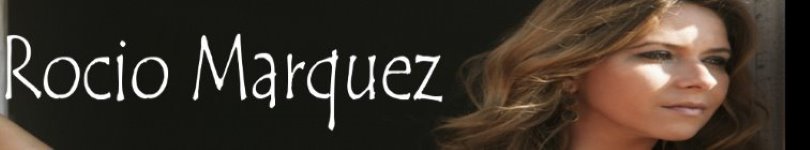 artist banner