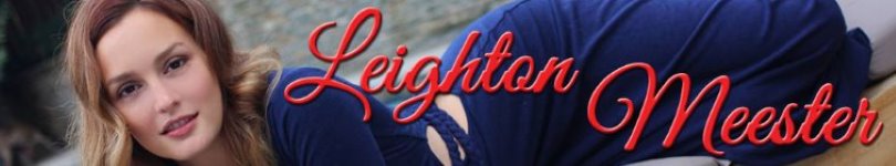 artist banner