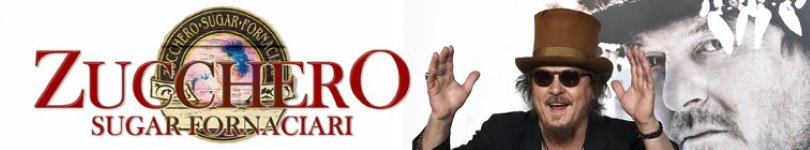 artist banner