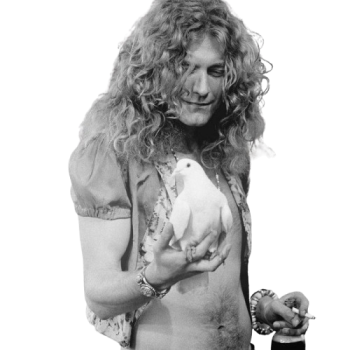 artist cutout