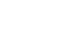 logo preview