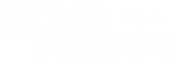 logo preview