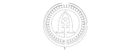 logo preview