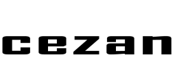 logo preview