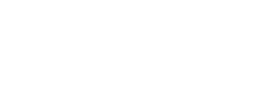 logo preview