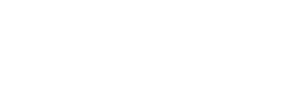 logo preview
