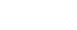 logo preview