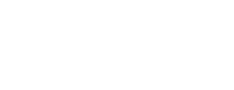 logo preview