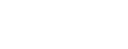 logo preview