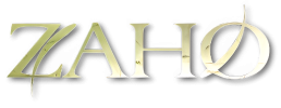 logo preview