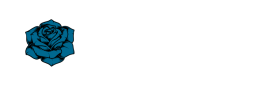 logo preview