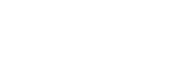 logo preview