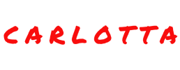 logo preview