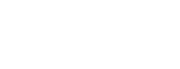 logo preview