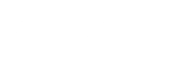 logo preview