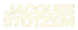 logo preview