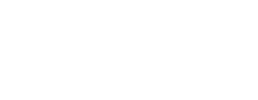 logo preview