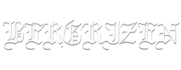 logo preview