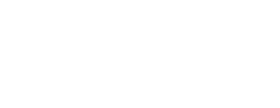 logo preview