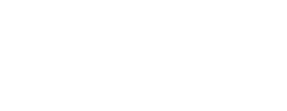 logo preview