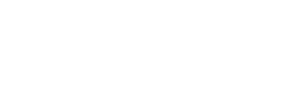 logo preview