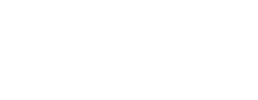 logo preview