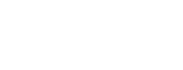 logo preview