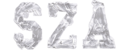 logo preview