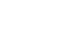 logo preview
