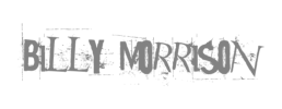 logo preview