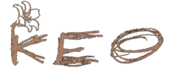 logo preview