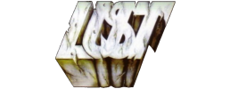 logo preview