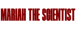 logo preview