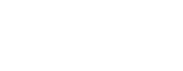 logo preview