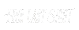 logo preview