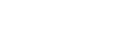 logo preview