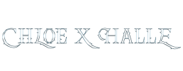 logo preview