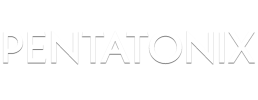 logo preview