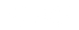 logo preview