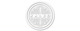 logo preview