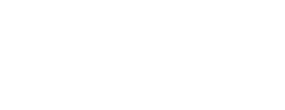 logo preview