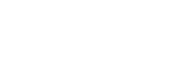 logo preview